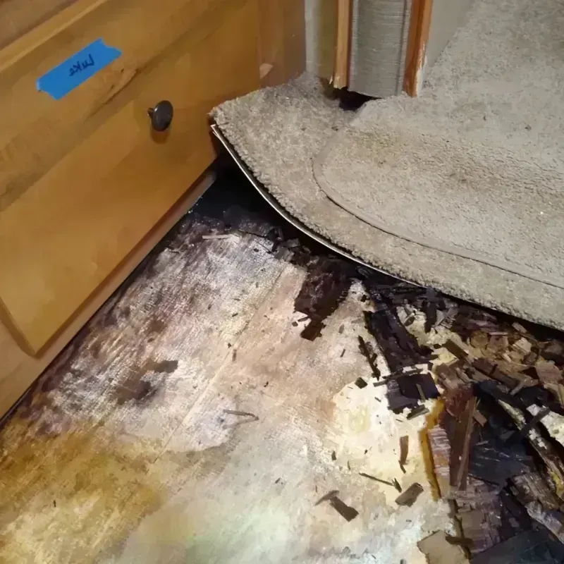 Wood Floor Water Damage in Lexington Park, MD